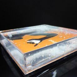 APPLE iPod Briefbeschwerer NEU classic RARITÄT Aufsteller Bild Rahmen